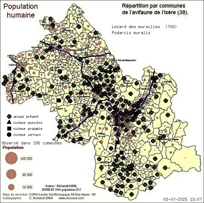 Carte de rpartition par communes en Isre d'une espce d'animal: Lzard des murailles (Podarcis muralis) selon Population humaine