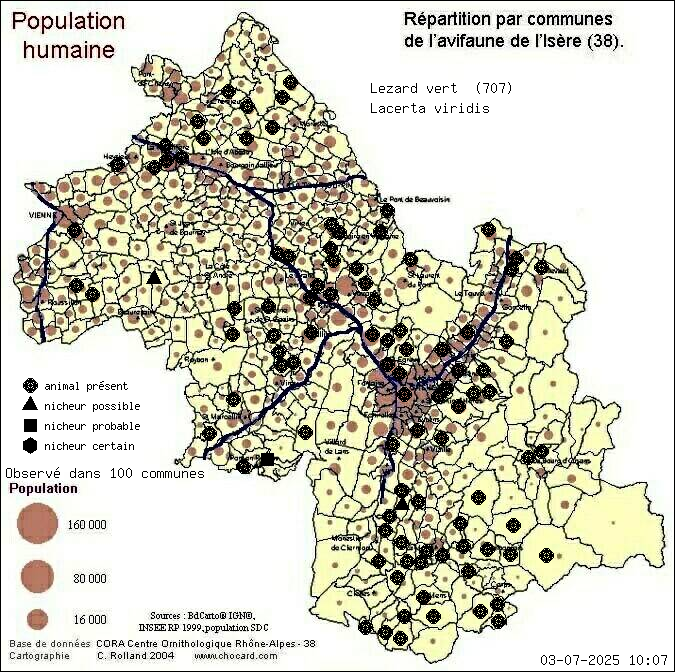 Carte de rpartition par communes en Isre d'une espce d'animal: Lzard vert (Lacerta viridis) selon Population humaine