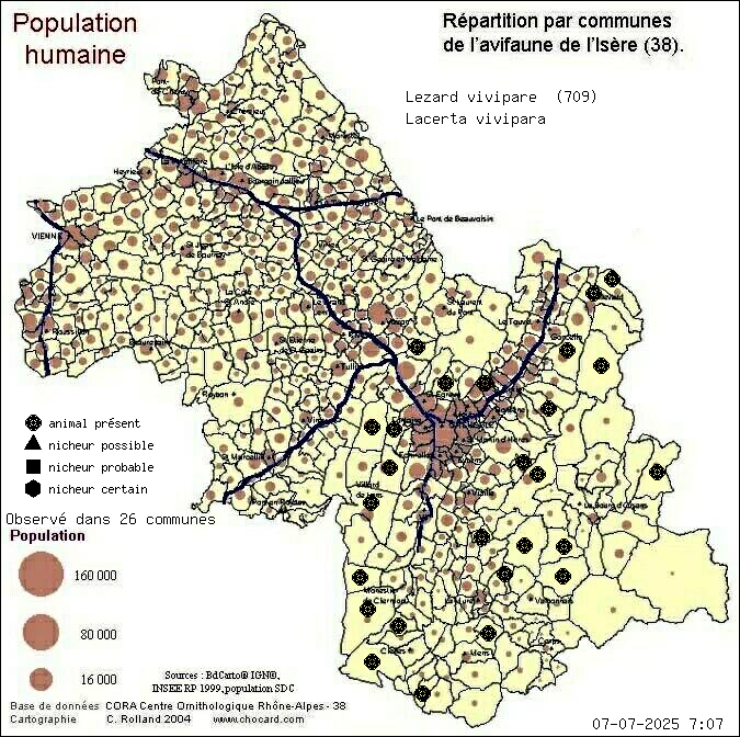 Carte de rpartition par communes en Isre d'une espce d'animal: Lzard vivipare (Lacerta vivipara) selon Population humaine