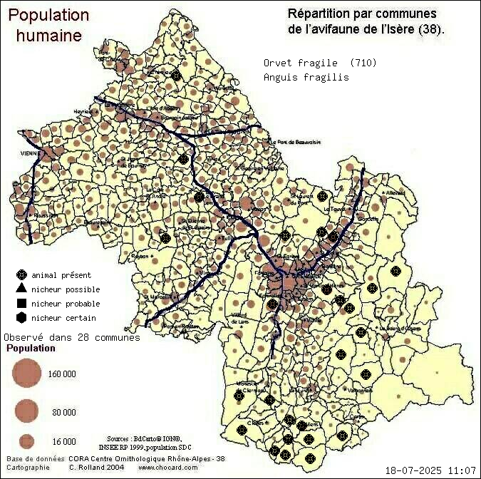 Carte de rpartition par communes en Isre d'une espce d'animal: Orvet fragile (Anguis fragilis) selon Population humaine