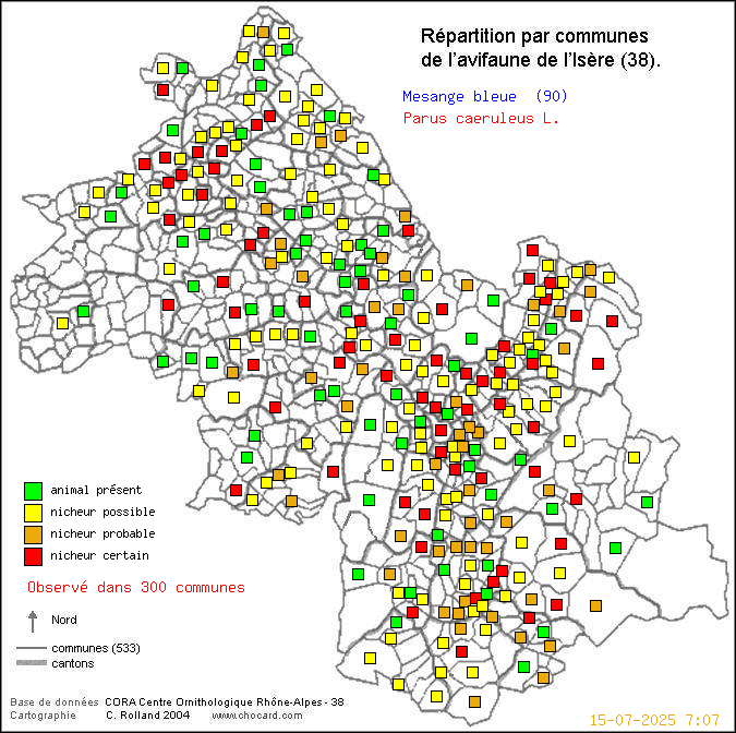Carte de rpartition par communes en Isre d'une espce d'oiseau: Msange bleue (Parus caeruleus L.) selon Communes et cantons