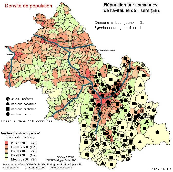 Carte de rpartition par communes en Isre d'une espce d'animal: Chocard  bec jaune (Pyrrhocorax graculus (L.)) selon Densit de population