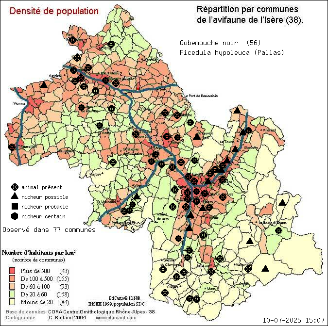 Carte de rpartition par communes en Isre d'une espce d'animal: Gobemouche noir (Ficedula hypoleuca (Pallas)) selon Densit de population