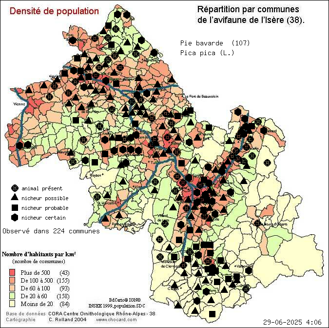 Pie bavarde (Pica pica (L.)): carte de rpartition en Isre