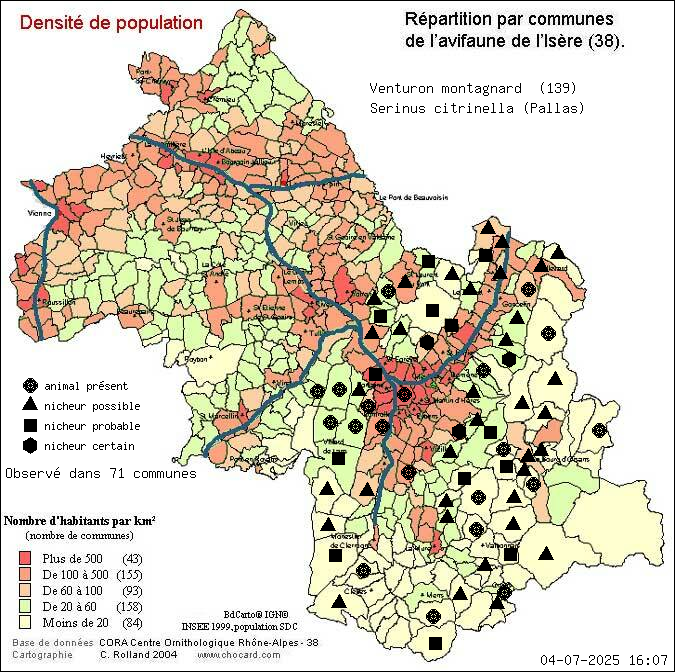 Carte de rpartition par communes en Isre d'une espce d'animal: Venturon montagnard (Serinus citrinella (Pallas)) selon Densit de population