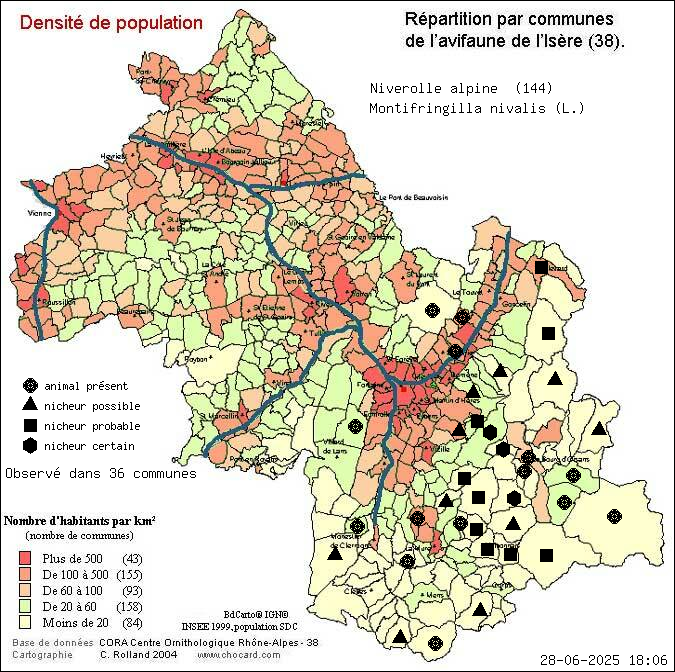 Niverolle alpine (Montifringilla nivalis (L.)): carte de rpartition en Isre