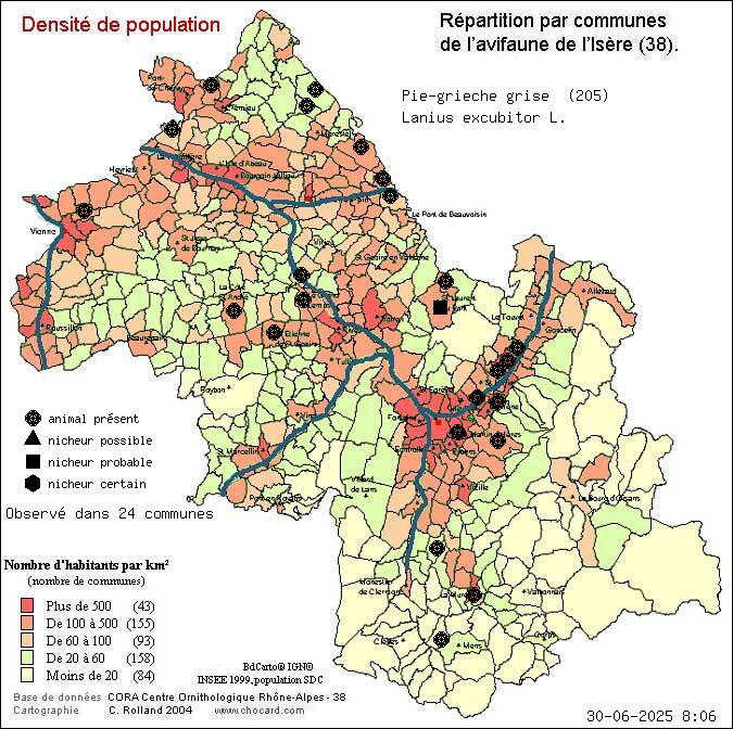 Carte de rpartition par communes en Isre d'une espce d'animal: Pie-griche grise (Lanius excubitor L.) selon Densit de population