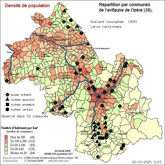 Carte de rpartition par communes en Isre d'une espce d'animal: Goland leucophe (Larus cachinnans) selon Densit de population