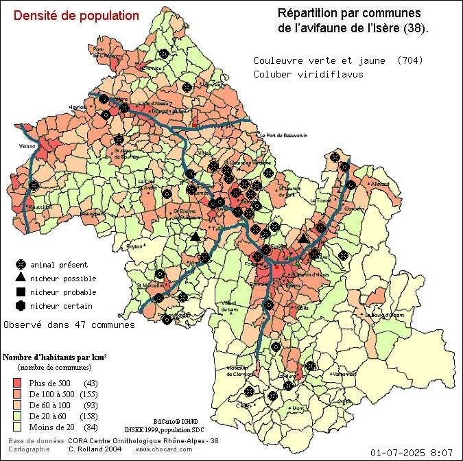 Carte de rpartition par communes en Isre d'une espce d'animal: Couleuvre verte et jaune (Coluber viridiflavus) selon Densit de population