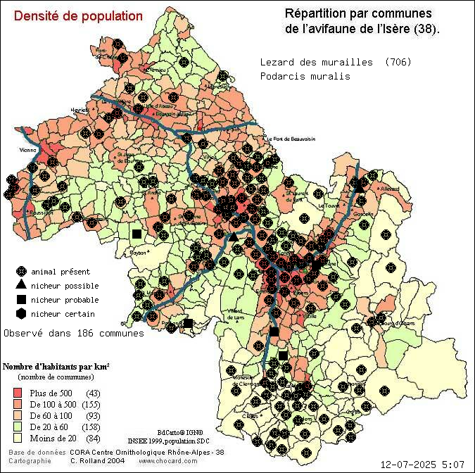 Carte de rpartition par communes en Isre d'une espce d'animal: Lzard des murailles (Podarcis muralis) selon Densit de population