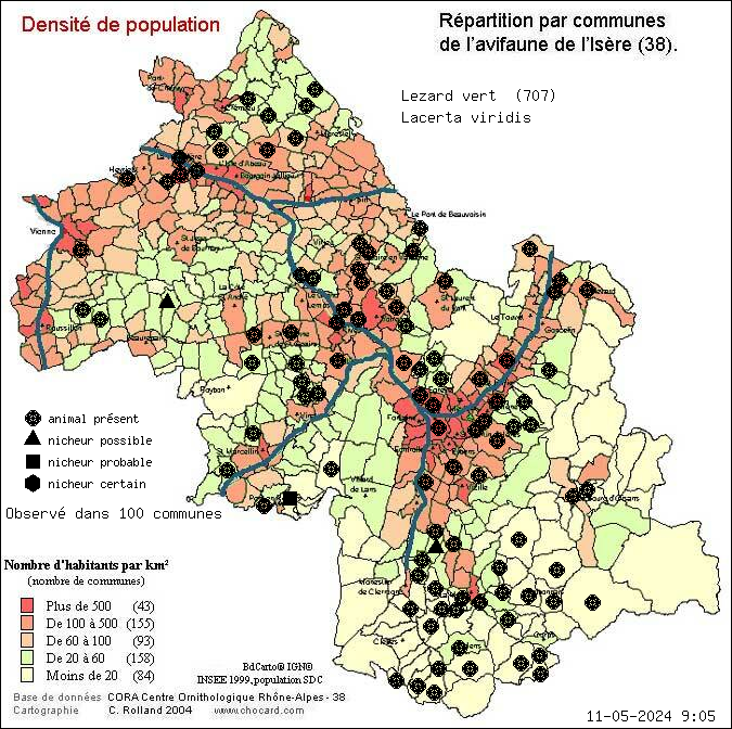 Carte de rpartition par communes en Isre d'une espce d'animal: Lzard vert (Lacerta viridis) selon Densit de population