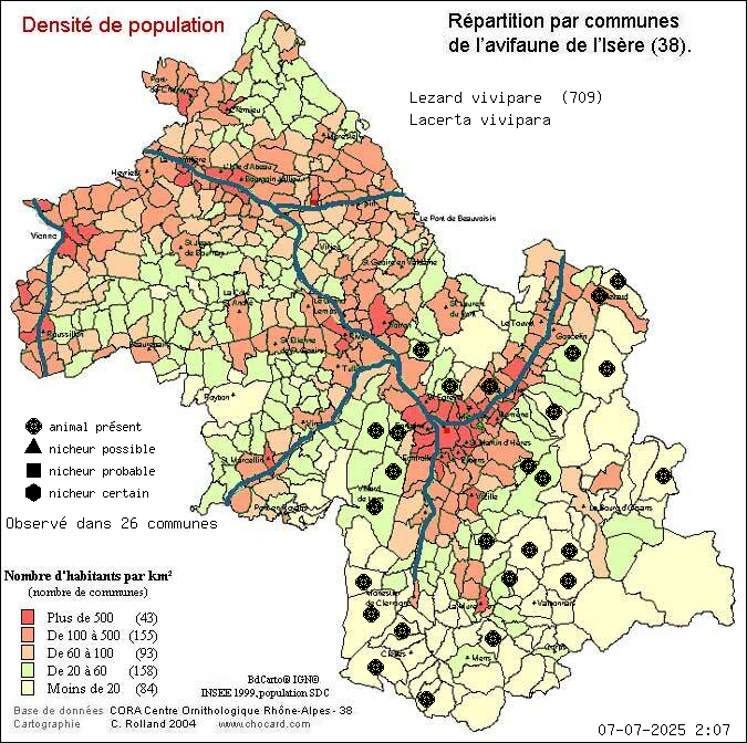 Carte de rpartition par communes en Isre d'une espce d'animal: Lzard vivipare (Lacerta vivipara) selon Densit de population