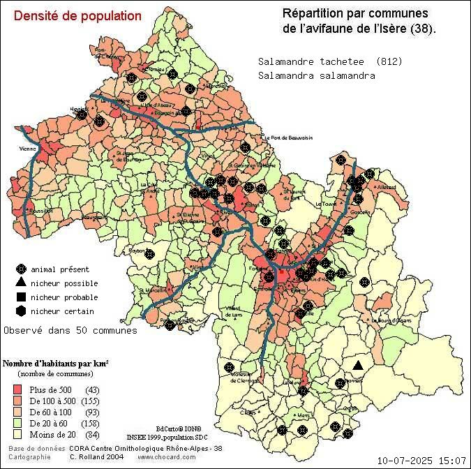 Carte de rpartition par communes en Isre d'une espce d'animal: Salamandre tachete (Salamandra salamandra) selon Densit de population