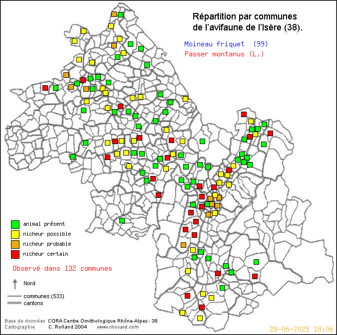 Moineau friquet (Passer montanus (L.)): carte de rpartition en Isre