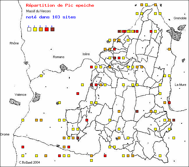 Pic peiche - Dendrocopos major (L.). Carte de rpartition des oiseaux dans le Vercors
