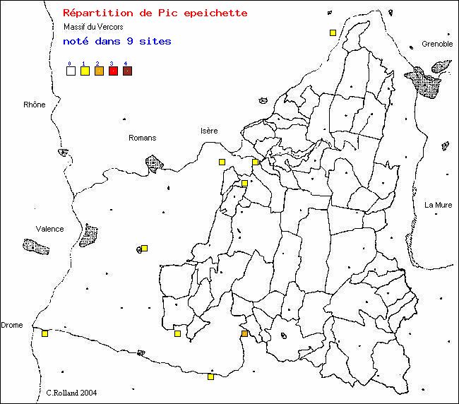 Pic peichette - Dendrocopos minor (L.). Carte de rpartition des oiseaux dans le Vercors