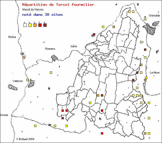 Torcol fourmilier - Jynx torquilla L.. Carte de rpartition des oiseaux dans le Vercors