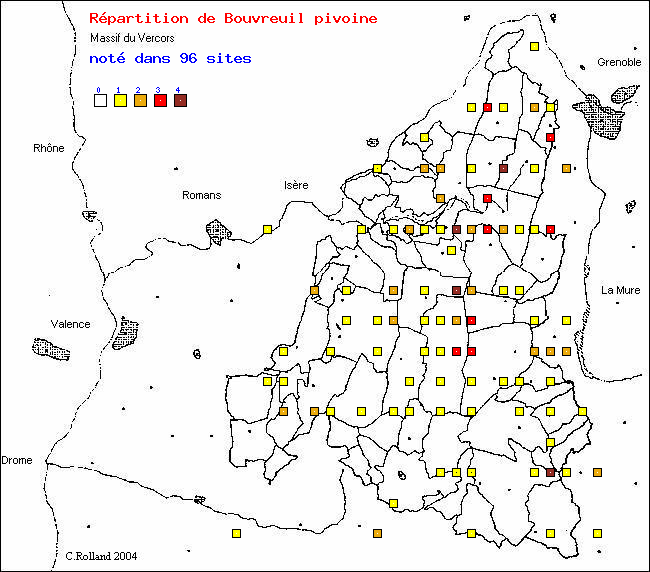 Carte de rpartition dans le Vercors (Isre et Drme) d'une espce d'oiseau: Bouvreuil pivoine (Pyrrhula pyrrhula (L.))