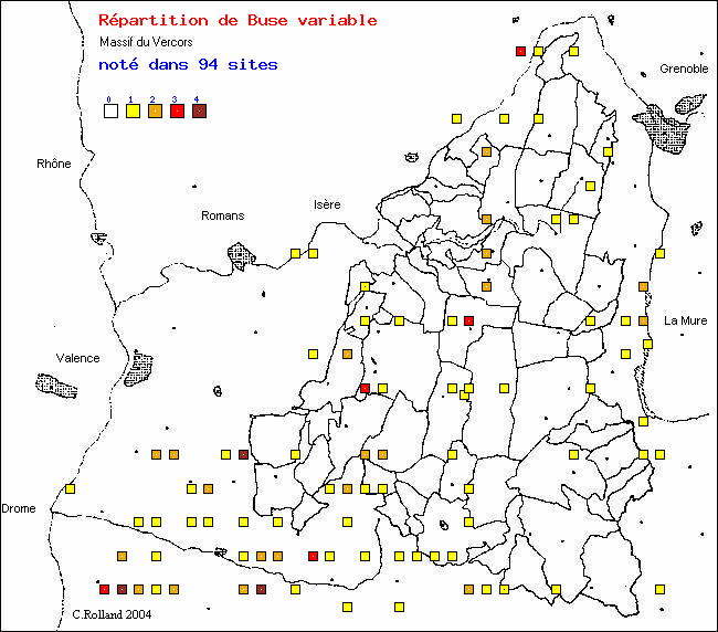 Buse variable - Butea buteo (L.). Carte de rpartition des oiseaux dans le Vercors