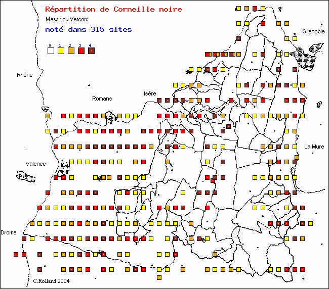 Corneille noire - Corvus corone L.. Carte de rpartition des oiseaux dans le Vercors