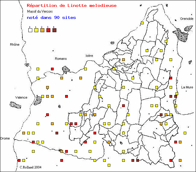 Linotte mlodieuse - Carduelis cannabina (L.). Carte de rpartition des oiseaux dans le Vercors