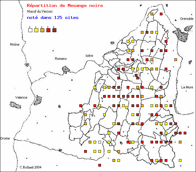 Carte de rpartition dans le Vercors (Isre et Drme) d'une espce d'oiseau: Msange noire (Parus ater L.)