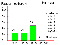 Faucon plerin - Falco peregrinus (Gmelin). Contacts durant 20 minutes dans le Vercors