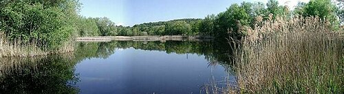 Panorama de la rserve naturelle de l'tang de Jarrie